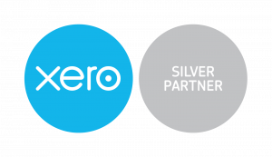 guide-hustle-xero-silver-partner-ecommerce